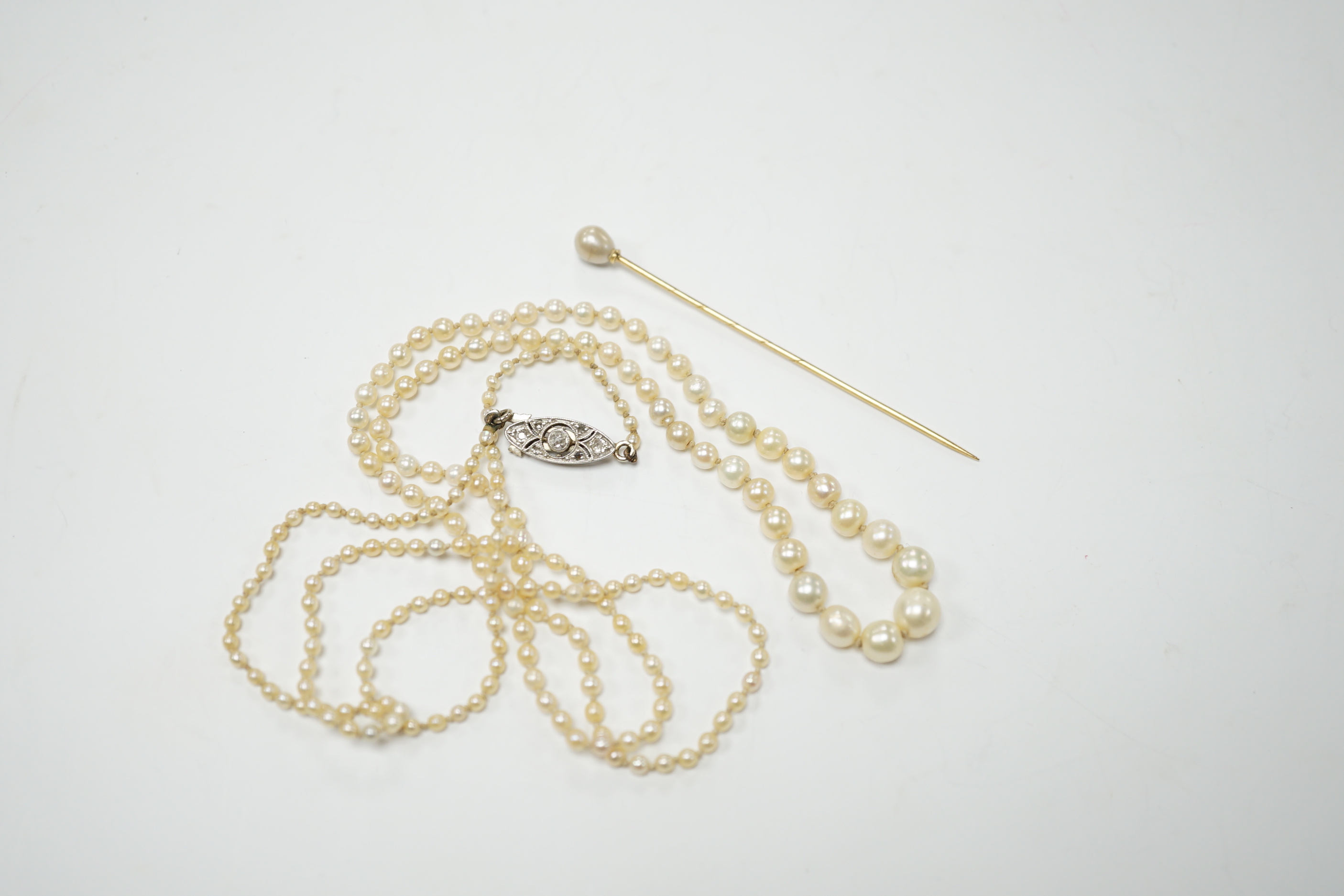 An early 20th century single strand graduated seed pearl necklace, with diamond set white metal clasp, 70cm, together with a cultured pearl set stick pin.